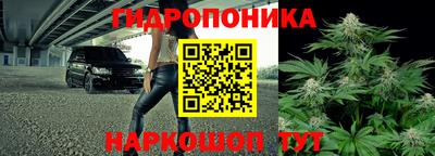 круглые Бердск
